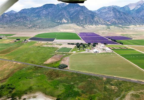 Mona Utah Farm Arial Grow With Oils