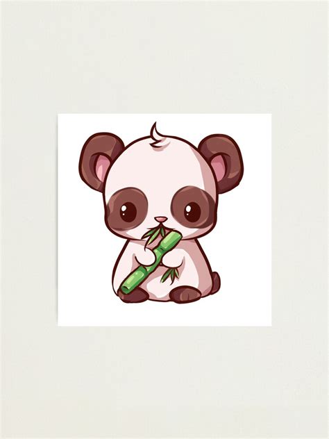 Panda Bear Cute Sweet Kawaii Animal Photographic Print For Sale By