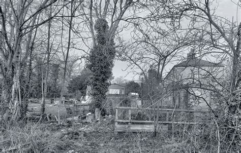 Back Yard Hamlet Of Mucking Essex Bill Robinson Flickr