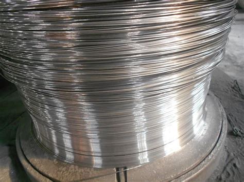 Stainless Steel Spring Wire Tradekorea