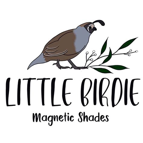 Little Birdie Magnetic Shades