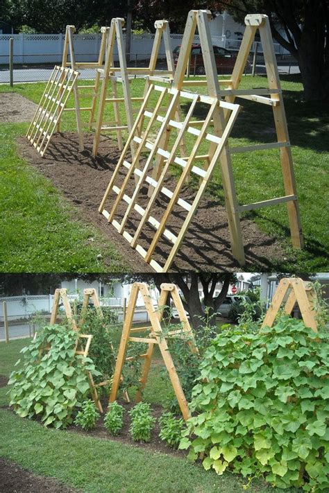 15 Easy Diy Cucumber Trellis Ideas Садовый трельяж Дизайн овощного