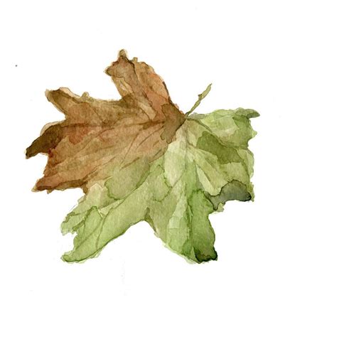 Fall Leaf Art Print Of Original Watercolor By Thejoyofcolor Fall