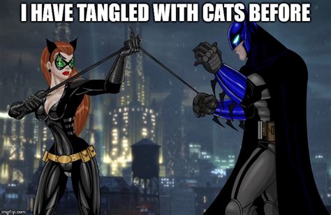 Batman Vs Catwoman Imgflip