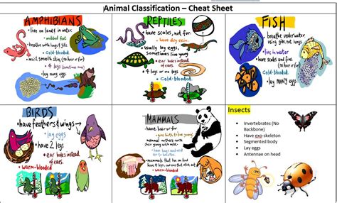 Mrs Addisons Monstars Animal Classification