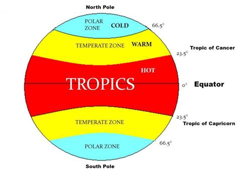 Globe Latitudes And Longitudes Chapter 2 Class 6 Ncert Geography