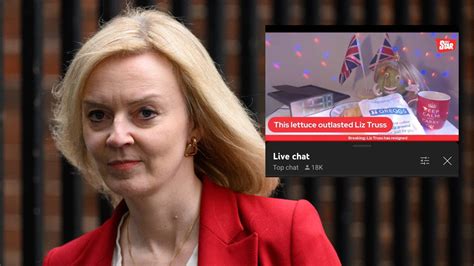 The Funniest Memes About Liz Truss And Her Brief Term As British Pm