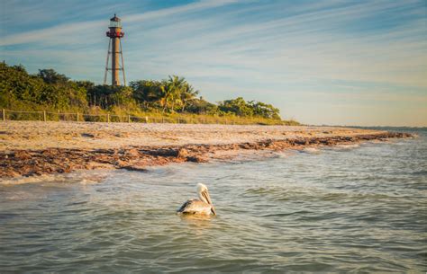 A First Timers Guide To Sanibel Island Floridas Nature Escape
