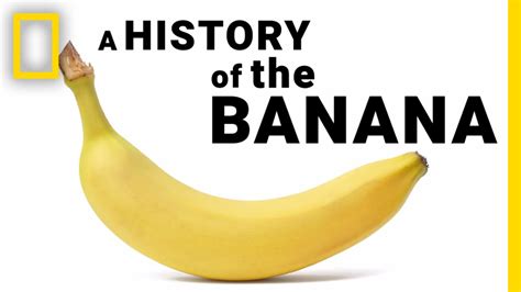 The Surprising History Of Bananas In Under 2 Minutes National