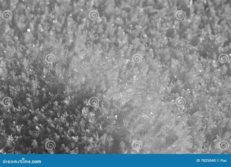 Ice Crystals Macro Stock Photo Image Of Cold Nature 7825040