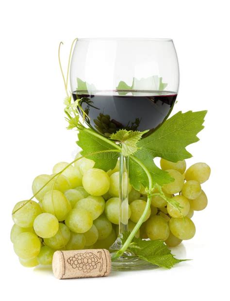 Red Wine Glass And Grapes Stock Photo Image Of Freshness 20741524