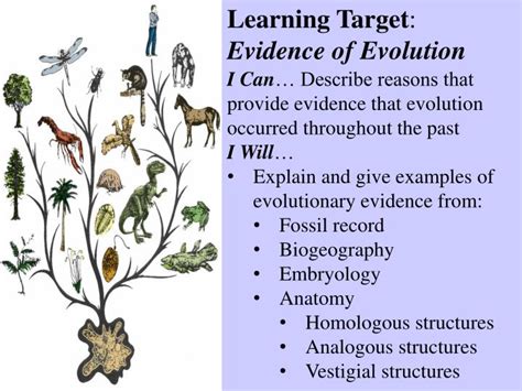 Ppt Learning Target Evidence Of Evolution Powerpoint Presentation