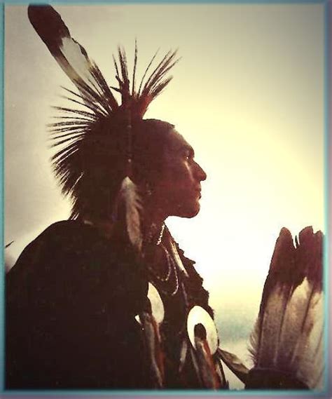 Wild Kingdom The Look Native American Cherokee Tribe