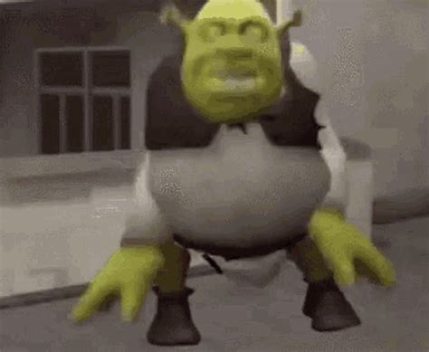 Funny Shrek Memes 