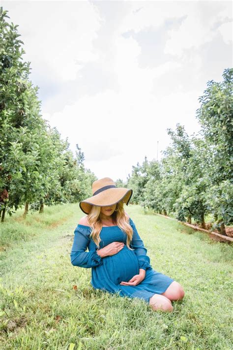 Apple Orchard Maternity Photos Blue Ridge Georgia Fall Maternity