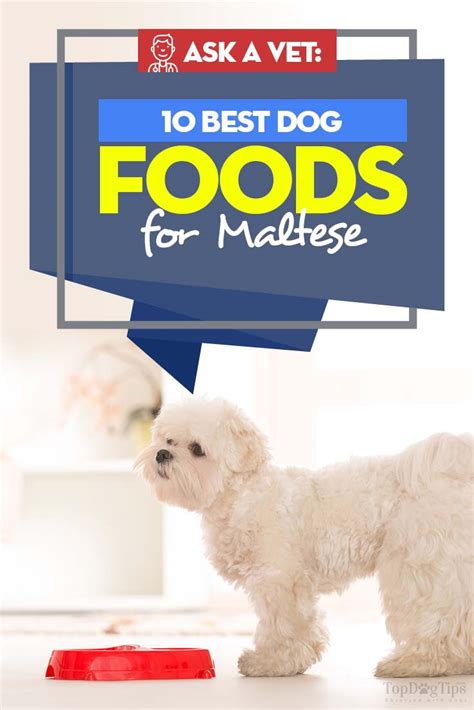 Rayne offers vet recommended whole foods pet food. Best Dog Food for Maltese: 10 Vet Recommended Brands - All ...