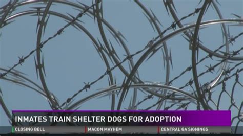 Inmates Train Shelter Dogs For Adoption
