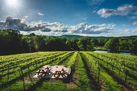 10 Beautiful Wineries Near St Louis You Must Visit Midwest Travel