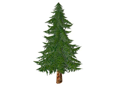 D Model Toon Textured Pine Tree Vr Ar Low Poly Max Obj Fbx Tga Mat