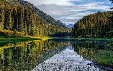 Mountains Forest Lake Reflection Wallpaper Nature And Landscape Wallpaper Better