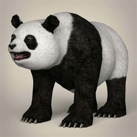 Giant Panda 3d Model By Treeworld3d