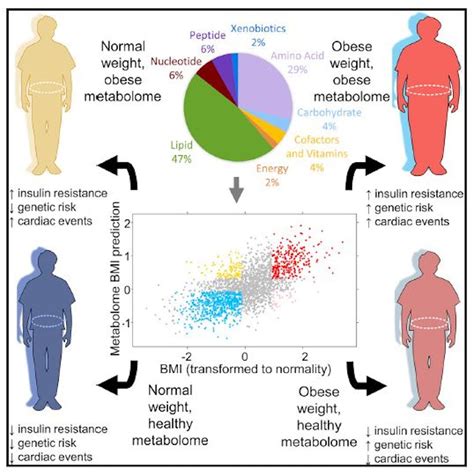 Your Metabolome Matters More Than Your Weight Realclearscience