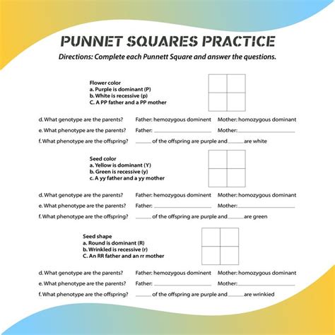 10 Best Printable Punnett Square Worksheets Science Lessons Fairy