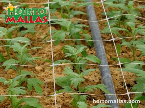 Hortomallas En Cultivo Hortomallas™ Supporting Your Crops®