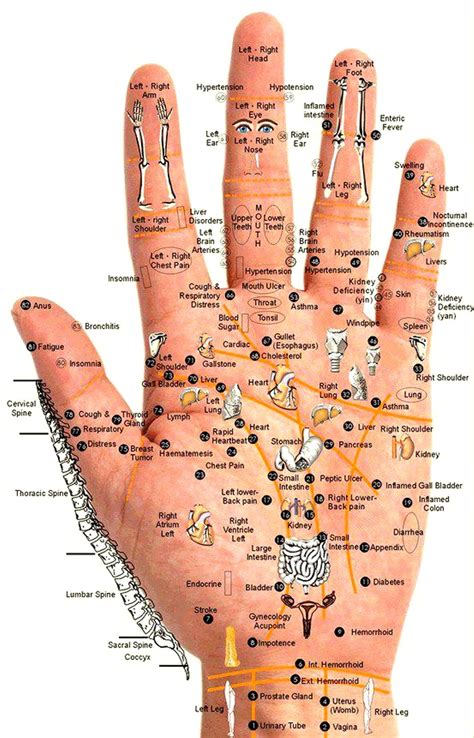 Hand Reflexology Method Panduan Pijat Untuk Menyembuhkan Berbagai