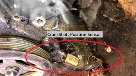 Where Is The Crankshaft Position Sensor Located On Chev Diy My Xxx Hot Girl