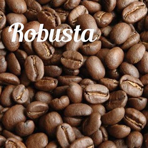 sejarah lengkap kopi arabica  robusta