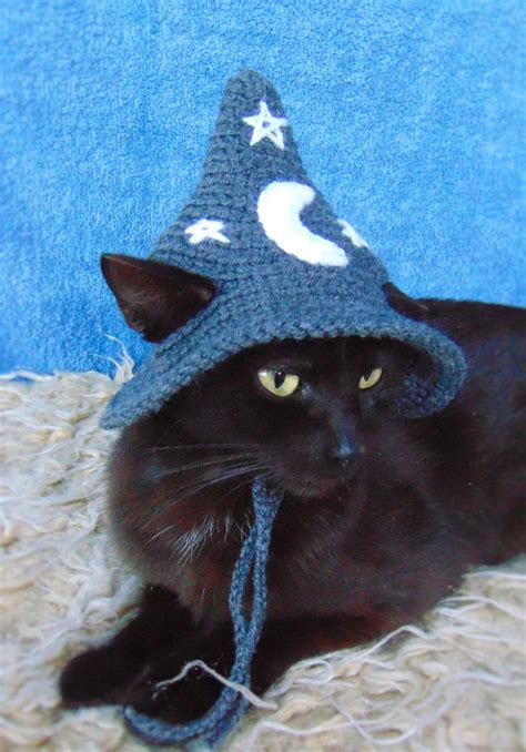 Dark Grey Wizard Hat For Cat Halloween Wizard Pet Costume