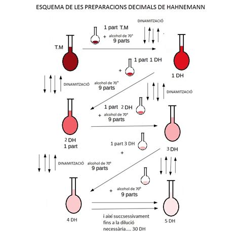 Esquema De Preparación De Diluciones Homeopàticas Diluciones