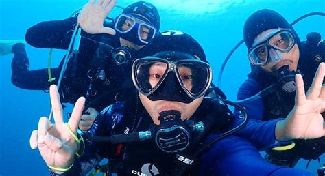 Cebu Scuba Diving Courses And Packages Rates Start At ₱2100 Guide To
