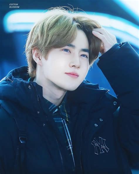 these 25 photos prove exo s suho is a visual genius koreaboo