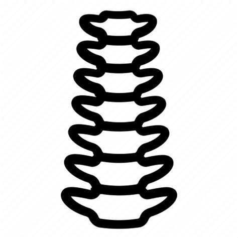 spinal cord orthopedic spinal cord spine spinal column vertebral column icon download on