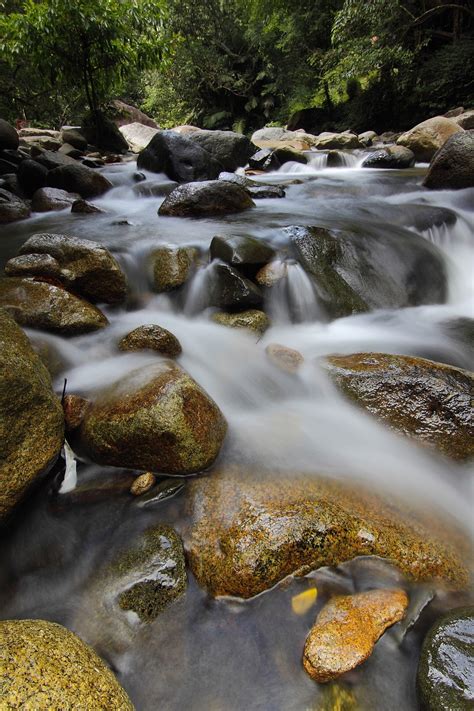 Download Free Photo Of Waterfallsekayugreenlandscapemalaysia From