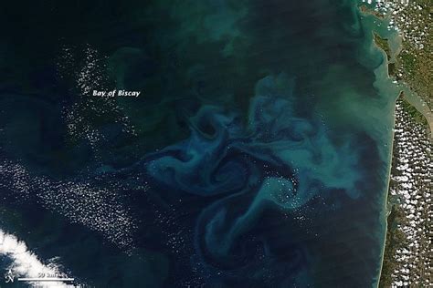 Colorful Plankton Blooms From Space Live Science