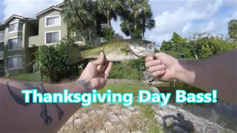Thanksgiving Day Backyard Bass Fishing Youtube