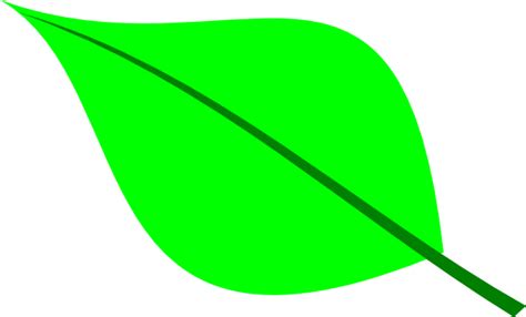 Green Leaf Clip Art At Vector Clip Art Online Royalty Free