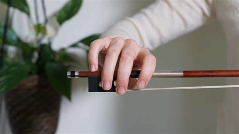How To Hold A Violin Bow The 6 Steps To A Perfect Bow Hold Violinspiration