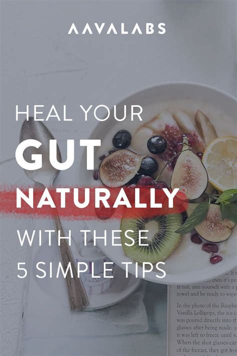 the best how to restore your gut health naturally references rawax