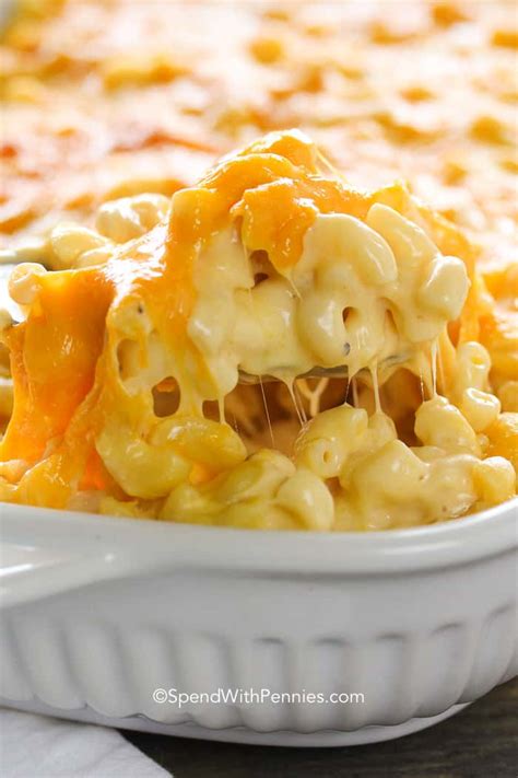 Every bite is layered with southern flavor, creamy pasta, and cheese. Quick and Easy Cheesy Recipes - The Best Blog Recipes