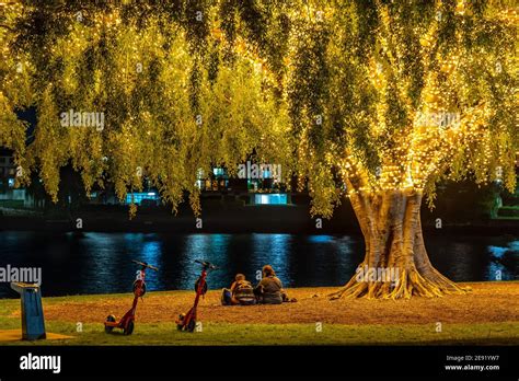 Brisbane Australia People Sitting Under The Illuminated Tree In