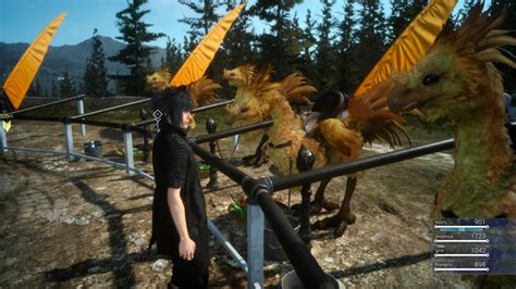 Switch to the chocobo world and guide your chocobo to an event. Final Fantasy 15: How to Unlock Chocobo Riding | Mount Guide - Gameranx