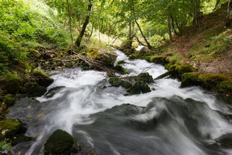 Mountain River And Mossy Stones Stock Image Image Of Tropical