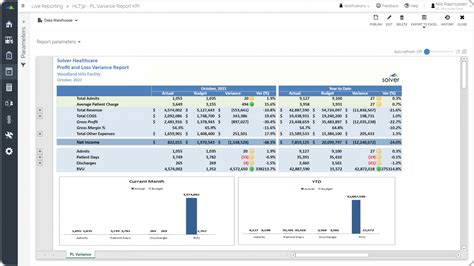 Profit And Loss Report With Kpis For A Healthcare Provider Example Uses