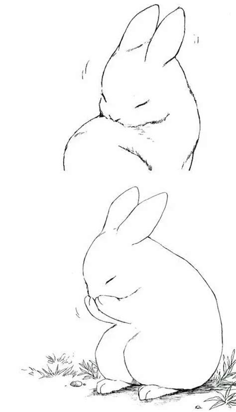 Rabbit Animal Sketches Cute Animal Drawings Drawing Sketches Cute