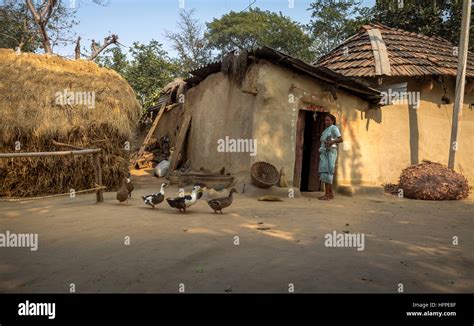 Rural Indian Village In Bankura West Bengal With Mud Huts Poultry