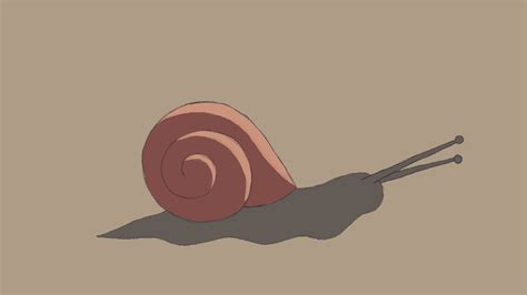 Snail S Page 2 Wiffle